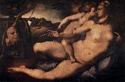 Jacopo Pontormo Venus and Cupid oil